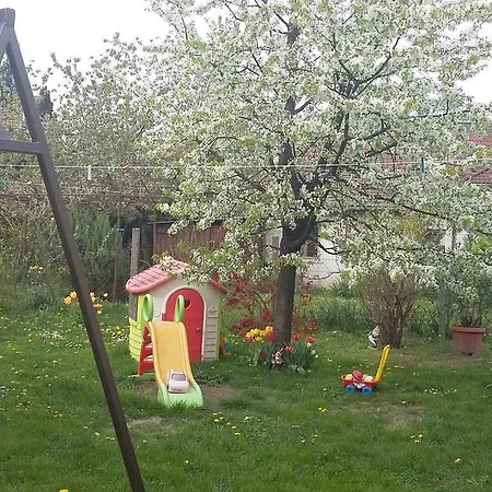 Apartment Alom Kucko