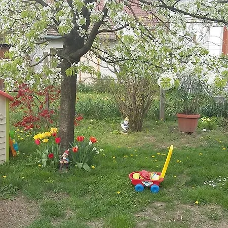 Apartment Alom Kucko *