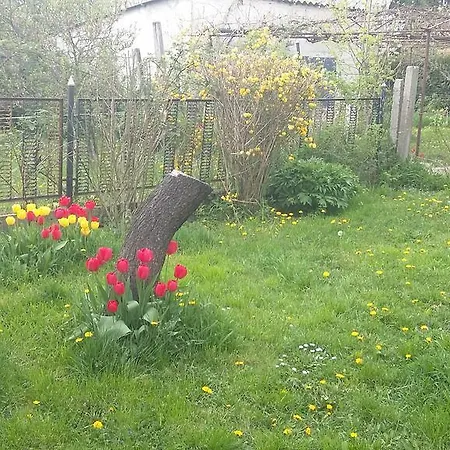 Apartment Alom Kucko *