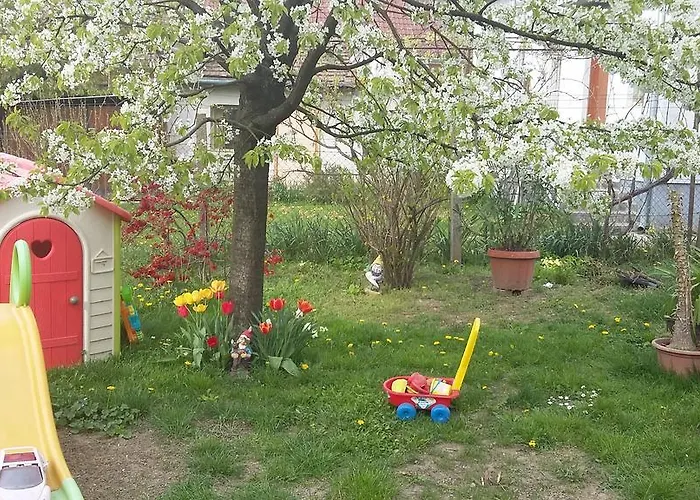 Apartament Alom Kucko *