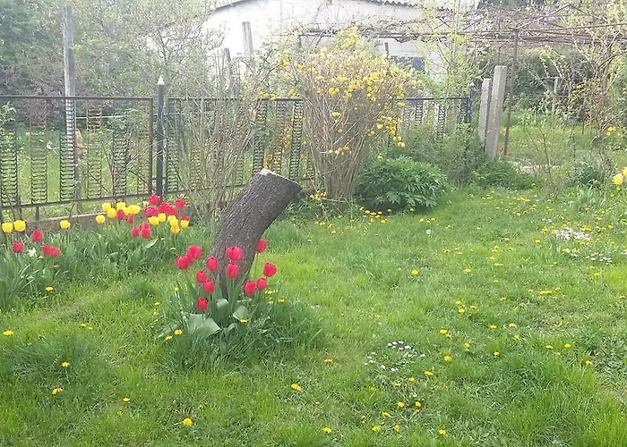 Apartament Alom Kucko *