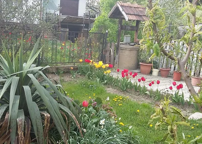 Alom Kucko